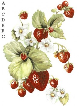 陶瓷印花圖案-草莓花 (40mm) 