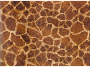 陶瓷印花紙- 長頸鹿紋