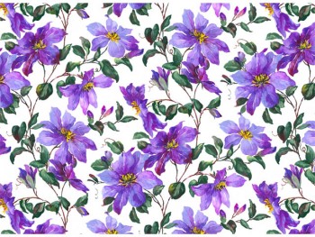 陶瓷印花紙- 鐵線蓮 (紫色)