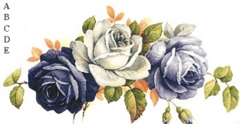 陶瓷印花圖案- 藍玫瑰 1 (50x25mm) 