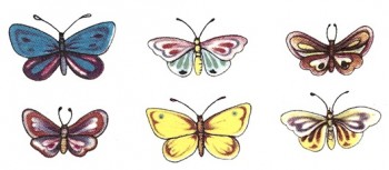 陶瓷印花圖案-蝴蝶 (小) 5件