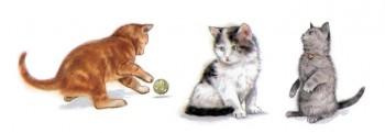 陶瓷印花圖案-貓組合2(小) 2件