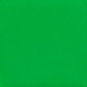 MAYCO Softees 塑膠彩 -  BRIGHT GREEN