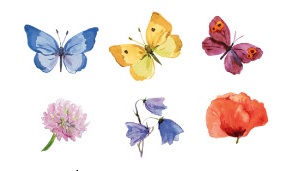 陶瓷印花圖案-花與蝴蝶(2件)