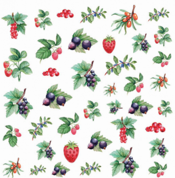 陶瓷印花紙 DECORPRINT - 水彩野莓 20x20cm 