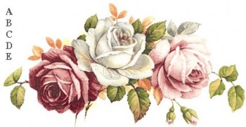 陶瓷印花圖案- 粉紅玫瑰 2 (125x65mm) 