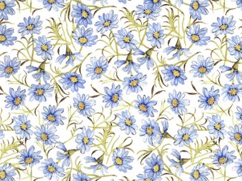 陶瓷印花紙- 雛菊 (藍色)