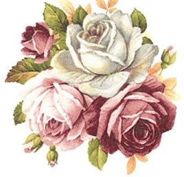 陶瓷印花圖案- 粉紅玫瑰 3 (50x50mm) 