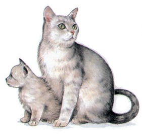 陶瓷印花圖案-貓(4) 2件