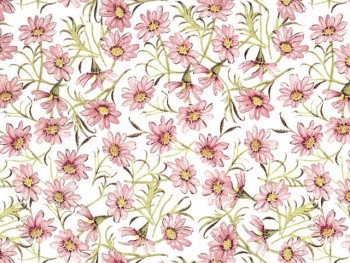 陶瓷印花紙- 雛菊 (粉紅色)