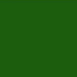 Colour Sheet - Dark Green