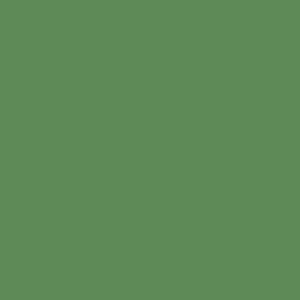 MS-6204 Mason Stain 美國色粉 - 維多利亞綠